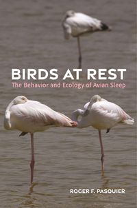 Cover image for Birds at Rest