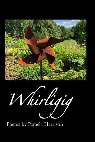 Cover image for Whirligig