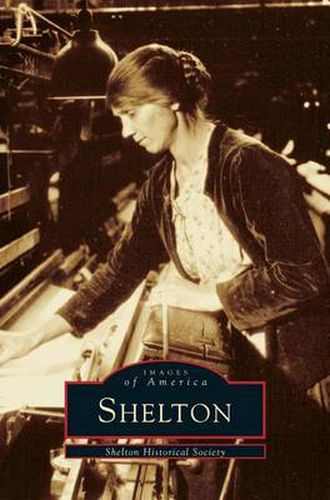 Cover image for Shelton