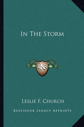 Cover image for In the Storm