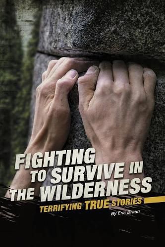 Cover image for In The Wilderness