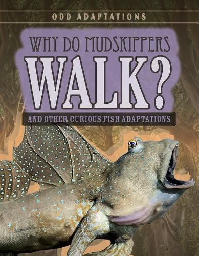 Cover image for Why Do Mudskippers Walk?: And Other Curious Fish Adaptations