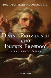 Cover image for Divine Providence And Human Freedom: Our Role In God's Plan