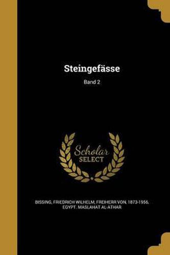 Cover image for Steingefasse; Band 2