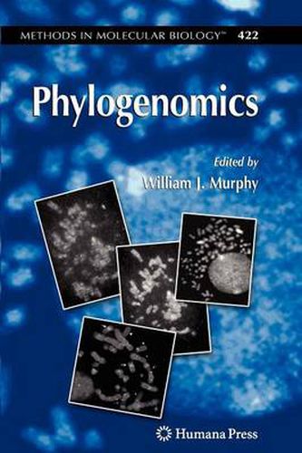 Cover image for Phylogenomics