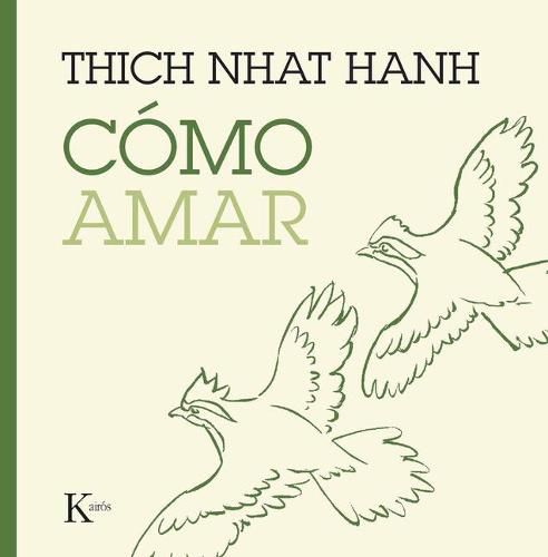 Cover image for Como Amar