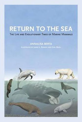 Cover image for Return to the Sea: The Life and Evolutionary Times of Marine Mammals