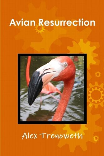 Cover image for Avian Resurrection