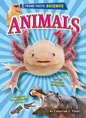 Cover image for Animals