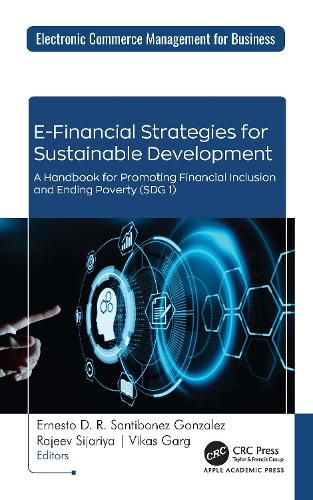 Cover image for E-Financial Strategies for Sustainable Development