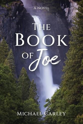 Cover image for The Book of Joe