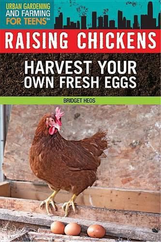 Raising Chickens