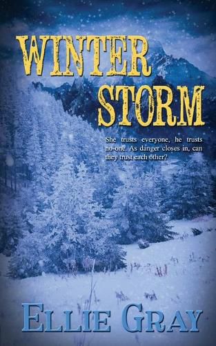 Cover image for Winter Storm