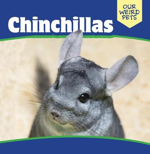 Cover image for Chinchillas