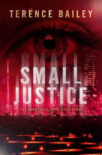 Cover image for Small Justice: The Sara Jones Cycle