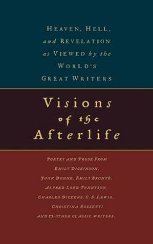 Cover image for Visions of the Afterlife