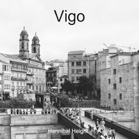 Cover image for Vigo