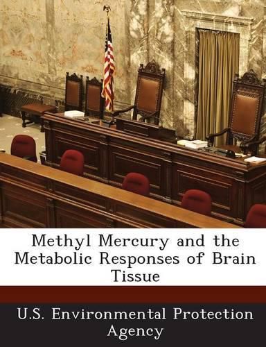 Cover image for Methyl Mercury and the Metabolic Responses of Brain Tissue