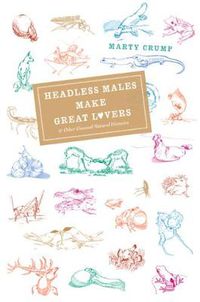 Cover image for Headless Males Make Great Lovers: And Other Unusual Natural Histories