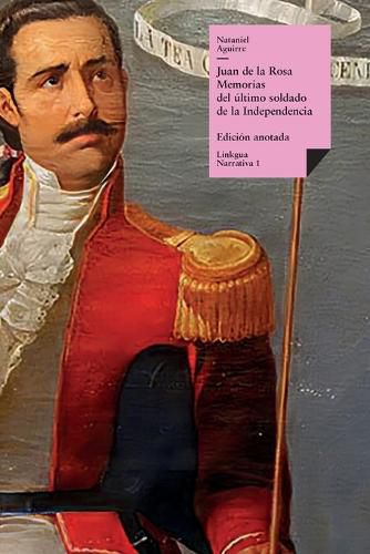 Cover image for Juan de la Rosa