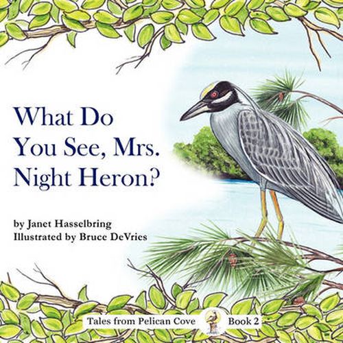 Cover image for What Do You See, Mrs. Night Heron?