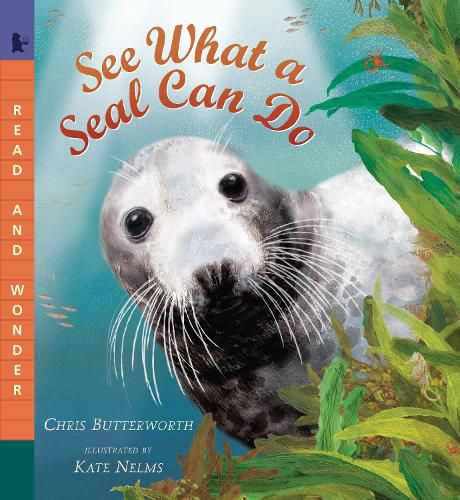 Cover image for See What a Seal Can Do