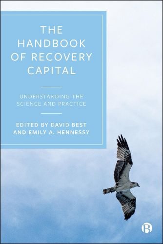 Cover image for The Handbook of Recovery Capital