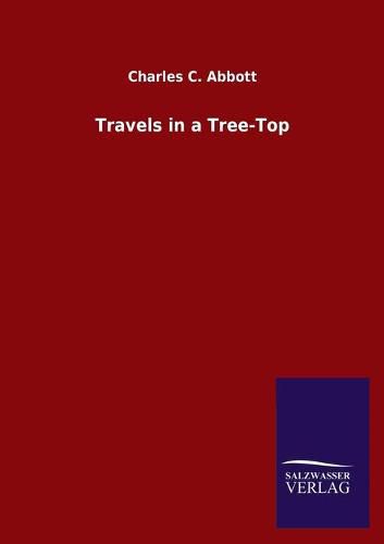 Cover image for Travels in a Tree-Top