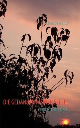 Cover image for Die Gedanken Meiner Seele!: Gedichte Mit Tiefe