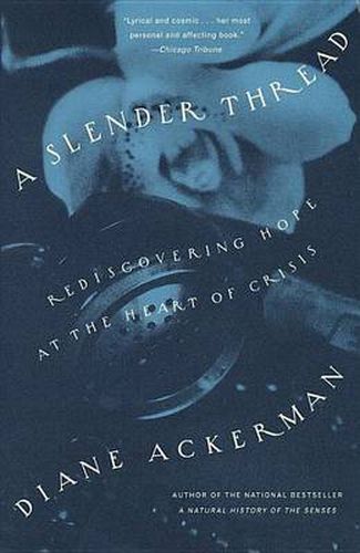 Cover image for A Slender Thread
