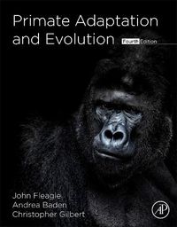 Cover image for Primate Adaptation and Evolution