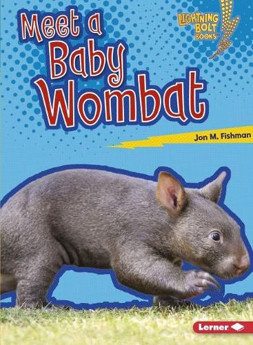 Wombat