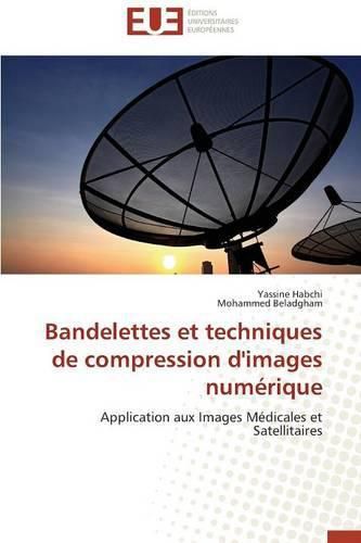 Cover image for Bandelettes Et Techniques de Compression d'Images Num rique