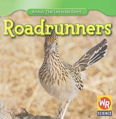 Roadrunners