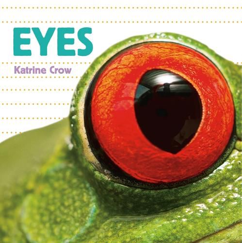 Cover image for Eyes