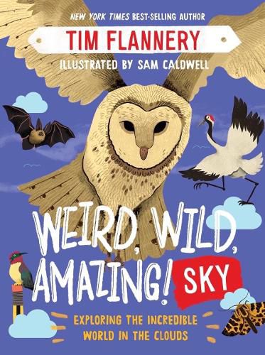 Weird, Wild, Amazing! Sky: Exploring the Incredible World in the Clouds