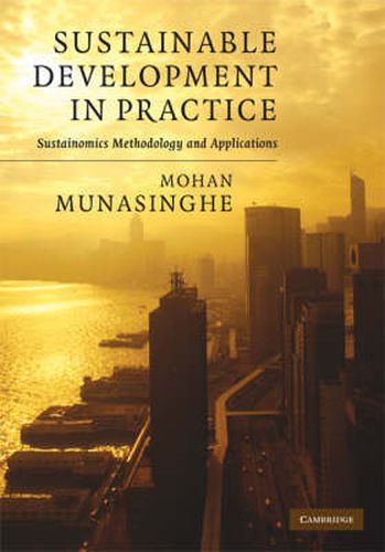 Cover image for Sustainable Development in Practice: Sustainomics Methodology and Applications