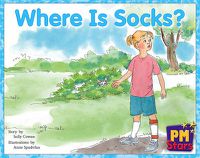 Cover image for Where Is Socks?