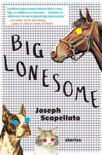 Cover image for Big Lonesome