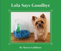 Cover image for Lola Says Goodbye
