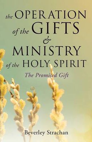 Cover image for The Operation of the Gifts & Ministry of the Holy Spirit