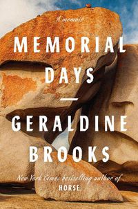 Cover image for Memorial Days