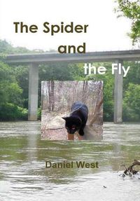 Cover image for The Spider and the Fly