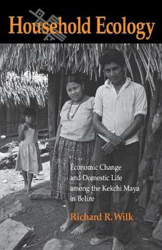 Cover image for Household Ecology: Economic Change and Domestic Life among the Kekchi Maya in Belize