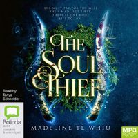 Cover image for The Soul Thief