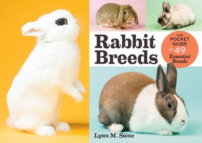 Cover image for Rabbit Breeds