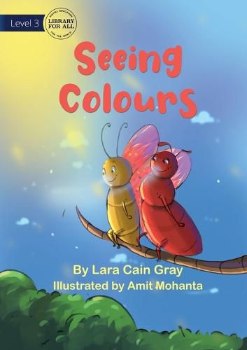 Cover image for Seeing Colours