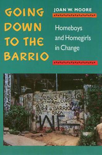 Cover image for Going Down To The Barrio: Homeboys and Homegirls in Change