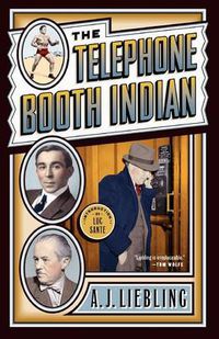 Cover image for The Telephone Booth Indian