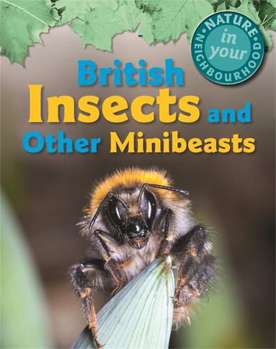 Cover image for Nature in Your Neighbourhood: British Insects and other Minibeasts